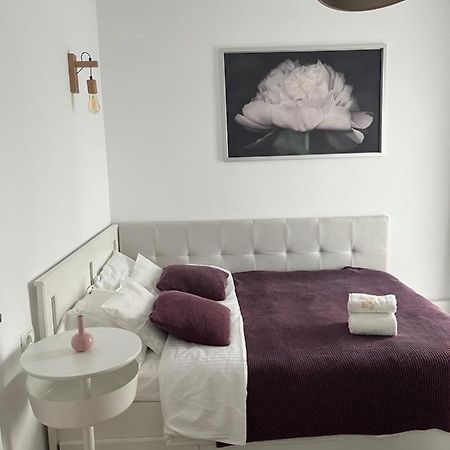 Alma Apartments Suczawa Zewnętrze zdjęcie