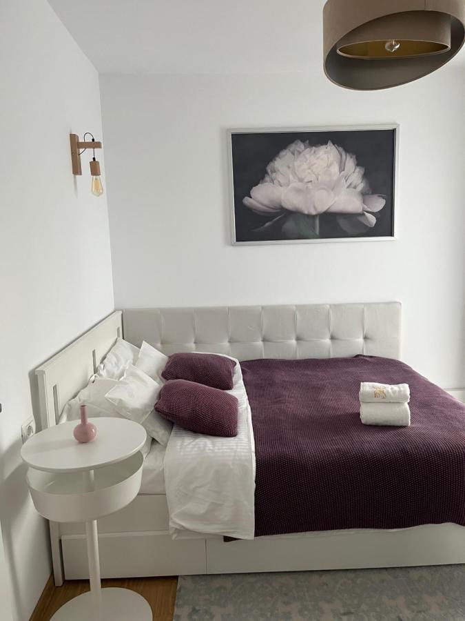 Alma Apartments Suczawa Zewnętrze zdjęcie